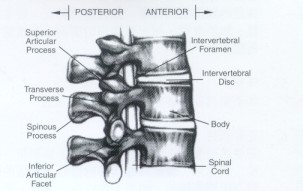 Figure1